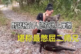 女人徒手猎杀200斤大野猪，直接压在地上摩擦！过程惊险刺激