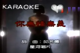 经典闽南语原人原唱珍藏修复版（1988）：林翠萍：你無情無义视频封面
