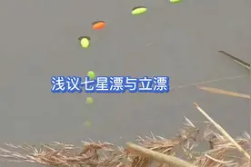 七星漂与立漂的优劣之分视频封面