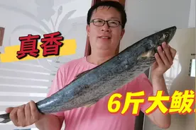 鲅鱼最好吃的做法很多人都不知道，外酥里嫩不发腥，海边人真会吃视频封面