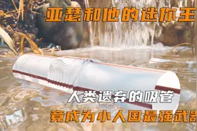 人类遗弃的吸管，竟成为小人国最强武器，10岁男孩勇救小人国公主视频封面