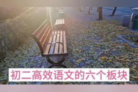 初二高效语文的六个板块，短期内让孩子找到方向提高分数。视频封面
