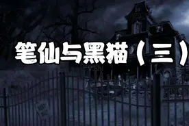 午夜悬疑鬼故事 第三十四讲 《笔仙与黑猫（三）》长篇惊悚鬼故事视频封面