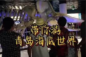 带你游青岛海底世界视频封面