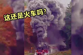 搞笑配音：老师会降龙十八掌，以后可别调皮了视频封面