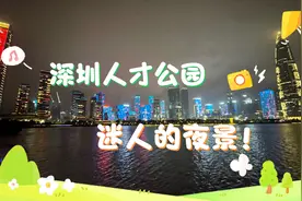 深圳人才公园，璀璨繁华的夜景太美啦！快来打卡吧！视频封面