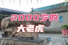 月亮姐姐来太原听讲座，遇见一只2000年的大老虎，牙齿尖尖头大大