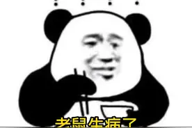 老鼠生病了，我给他吃老鼠药视频封面