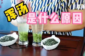 信阳毛尖的清汤与浑汤，反差这么大！到底是什么原因造成的？视频封面