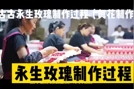 永生玫瑰制作过程，永生玫瑰花，情人节礼物闺蜜朋友礼物永生花视频封面