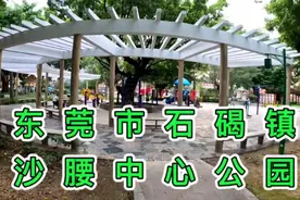 东莞市石碣镇，沙腰湾中心公园的内部风景，喜欢的朋友们去看看视频封面
