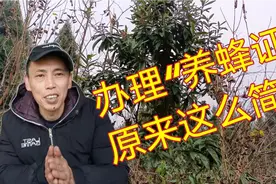 你有没有养蜂证？知道怎么快速办理吗？按这个流程，一次就搞定视频封面
