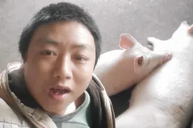 母猪配种后20天又返清，子宫炎症怎么办？养猪小伙经验分享视频封面