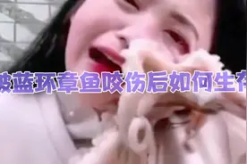如果被一只蓝环章鱼咬伤该如何生存 涨知识 看完视频了解生存知识视频封面