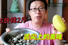 山东荣成超便宜的海鲜上市啦！搭配老黄瓜做道菜，那真是绝了门子视频封面