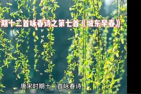 唐宋时期十二首咏春诗之第七首《城东早春》【唐】杨巨源视频封面
