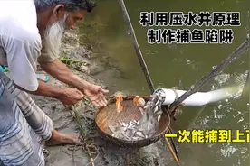 利用压水井原理制作捕鱼陷阱，一次能捕到上百条，创意堪称绝妙视频封面