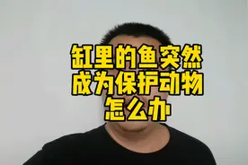 缸里的长丝巨鲶成为保护动物怎么办？视频封面