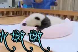 冰墩墩，熊猫形象与富有超能量的冰晶外壳相结合，它的前生今世视频封面