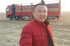 东北的草太湿了，来南方会烂掉。但是还有人贪便宜，不长记性。视频封面