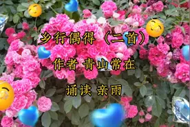 老师佳作《乡行偶得》二首“岁月蹉跎荏苒中，百年世事须臾空”视频封面