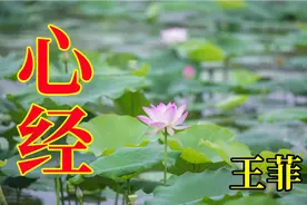 王菲演唱《心经》加长版，空灵纯净，循环播放，让你大彻大悟视频封面