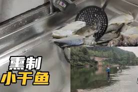 熏制自己钓的小干鱼送给母亲视频封面