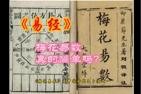想知道梅花易数有多准吗？易经文化博大精深，值得学习和弘扬视频封面