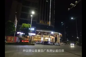 灵山县从广东划归广西，这是认祖归宗，历史上灵山县一直属于广西视频封面