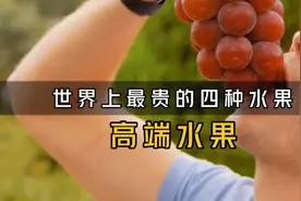 世界上最贵的四种水果，比黄金还贵，还是我们中国的水果最香视频封面