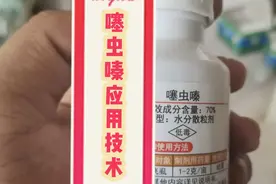 杀虫剂噻虫嗪，能治蚜虫、蓟马、飞虱，效果明显比吡虫啉强不少！视频封面