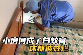小房间没想到成了白蚁窝，抬起床垫头皮发麻，师傅喷点药收费800视频封面