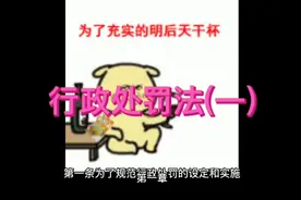 行政处罚法(一)视频封面