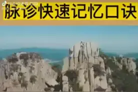 脉诊快速记忆口诀视频封面