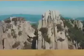 脉诊快速记忆口诀视频封面