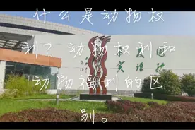什么是动物权利？动物权利与动物福利的区别。视频封面