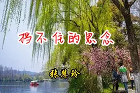 张慧玲_陕北民歌《挡不住的思念》！独特的嗓音，宛如天籁……视频封面
