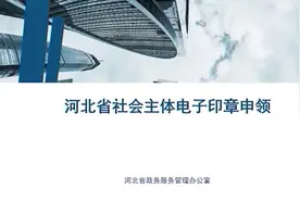 河北：一枚“电子印章”可实现全流程网办 如何申领？图片