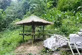 了解荒野，学习更多的荒野技能愿和您一起探讨荒野视频封面