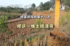 挖渠道沟的第十八天。把这一堆土搞漂亮视频封面