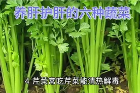 适合养肝护肝的六种蔬菜，养好你的肝。视频封面