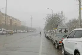 宁夏银川迎来2021年开春来的第一场雪，下得还挺大的视频封面