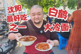 沈阳人尽皆知的神店，最好吃冷面之一的白鹤大冷面视频封面