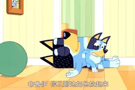 狗狗在干嘛视频封面