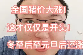 12月22日明日猪价全国涨！冬至后至元旦后还有涨！这才开头视频封面