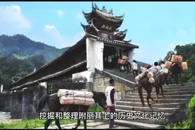 陇南沿平绵高速到康县望子关，视频封面