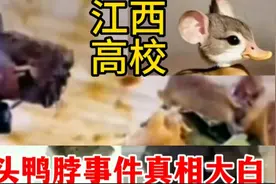 江西鼠头鸭脖事件真相大白，指鼠为鸭的局长江协学就看如何处理了视频封面