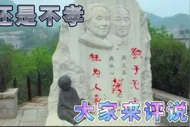 冰心与丈夫的墓碑上，亲孙子涂了“教子无方，枉为人表”八个大字视频封面