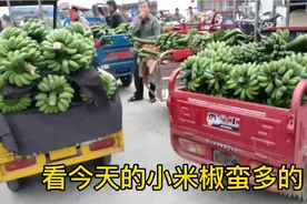 4月21号，南宁金陵东盟农贸城的农产品行情又会是怎样的呢？视频封面