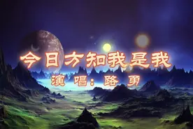 路勇独特的嗓音，演唱的《今日方知我是我》意境深远，入耳不忘。视频封面
